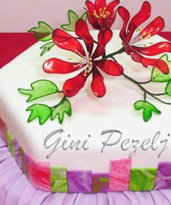Galer�a de fotos
